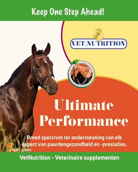 Ultimate Performance